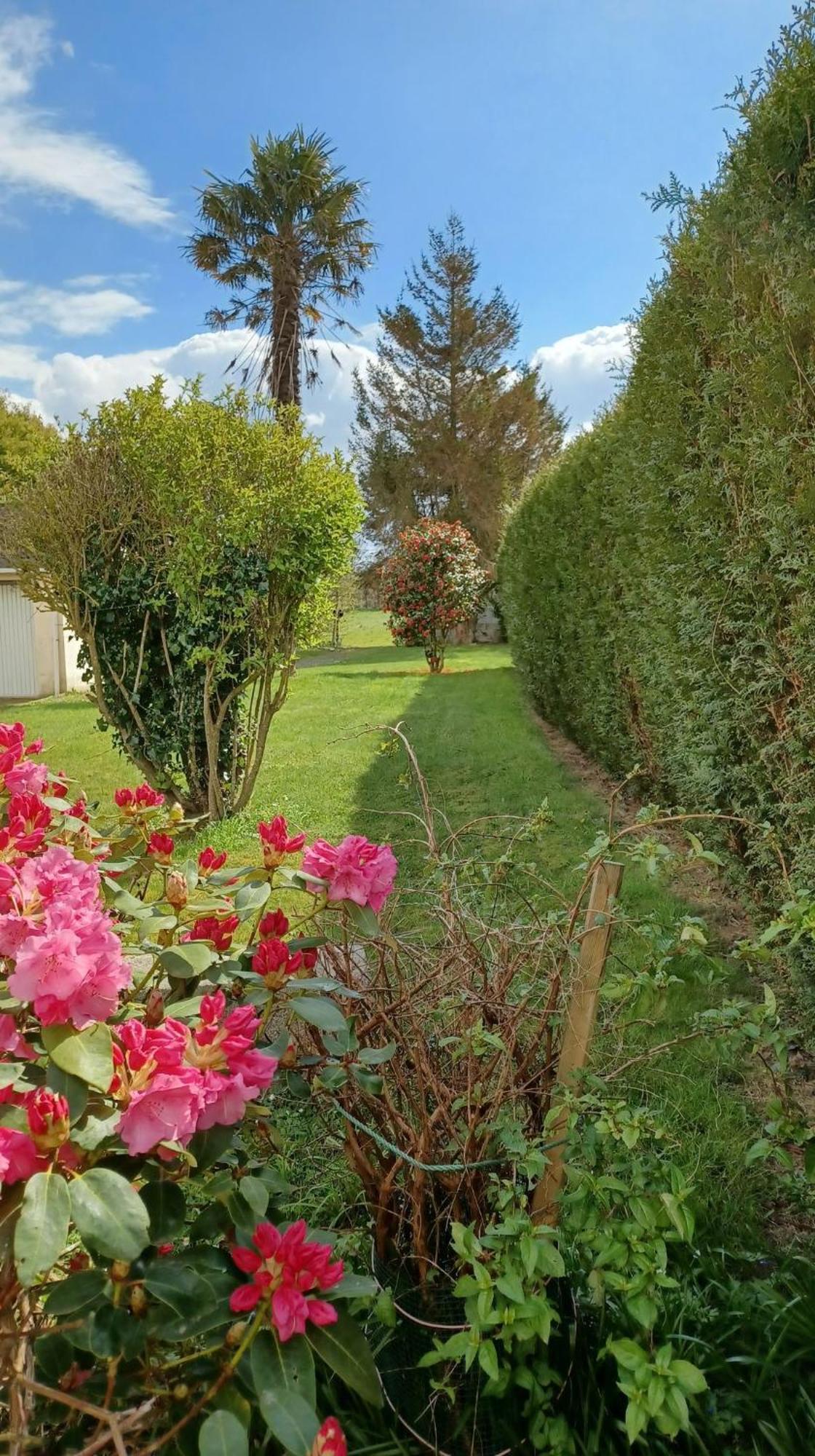 La Bretagne ça vous gagne Vila Ploufragan Exterior foto